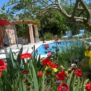 Les Tamaris , Régusse France
